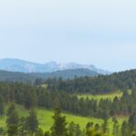 Mehr als die Hälfte dieser Wälder in den Black Hills sollen abgeholzt werden. Foto: Willi White