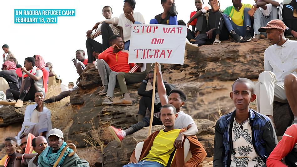 Die äthiopische Zentralregierung zerschlug gemeinsam mit der Armee aus Eritrea die sezessionistische Bewegung in Tigray. Foto: tplf